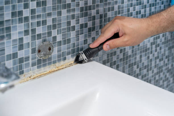 Mold Removal Process in West Jefferson, NC