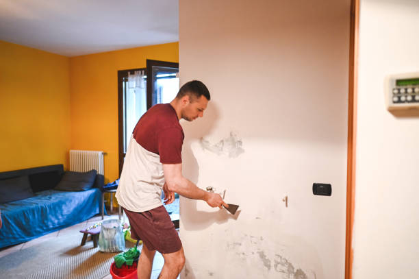 Best Mold Remediation  in West Jefferson, NC